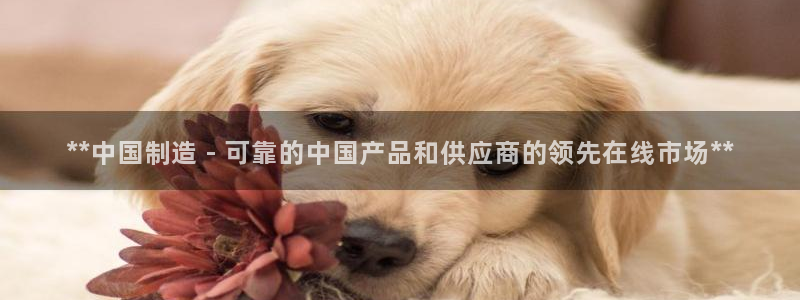 彩神v：**中国制造 - 可靠的中国产品和供应商的领先在线市