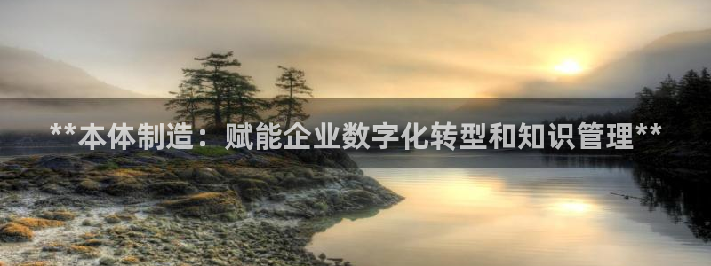 彩神ll能赚钱吗：**本体制造：赋能企业数字化转型和知识管理**