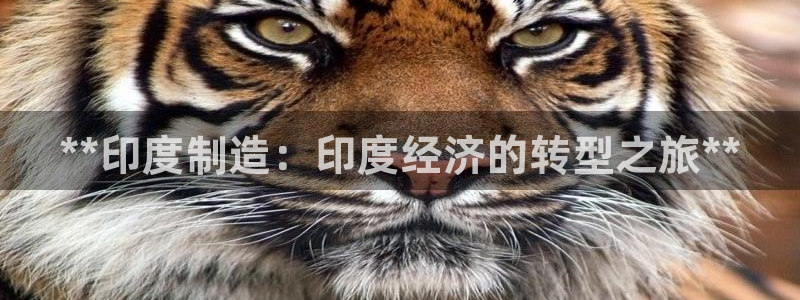 彩神争霸官方下载：**印度制造：印度经济的转型之旅**