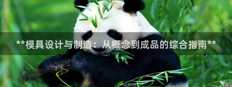彩神是什么平台的游戏：**模具设计与制造：从概念到成品的综合指南**