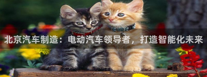 彩神的邀请码是多少：北京汽车制造：电动汽车领导者，打造智能化未来