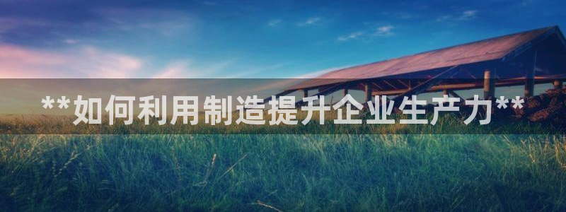 彩神v8是一个什么平台游戏：**如何利用制造提升企业生产力**