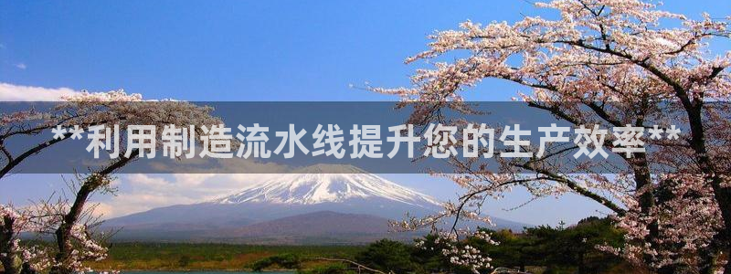 彩神v：**利用制造流水线提升您的生产效率**