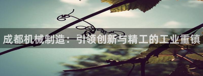 彩神vii官网大赢家：成都机械制造：引领创新与精工的工业重镇