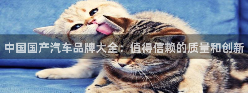 彩神Vii购彩-购彩大厅：中国国产汽车品牌大全：值得信赖的质