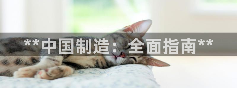 彩神平台注册登录：**中国制造：全面指南**