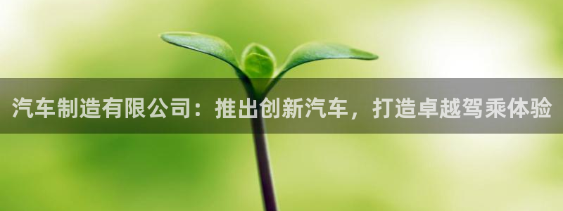 彩神xapp官方网站：汽车制造有限公司：推出创新汽车，打造卓越驾乘体验