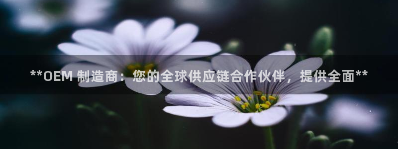 彩神velcome购彩大厅：**OEM 制造商：您的全球供应链合作伙伴，提供全面**