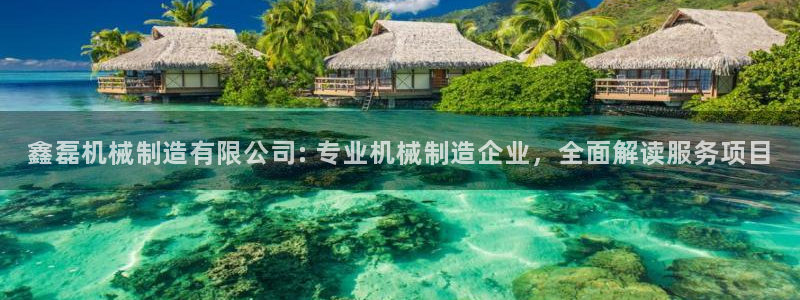 彩神v争霸是啥：鑫磊机械制造有限公司: 专业机械制造企业，全面解读服务项目