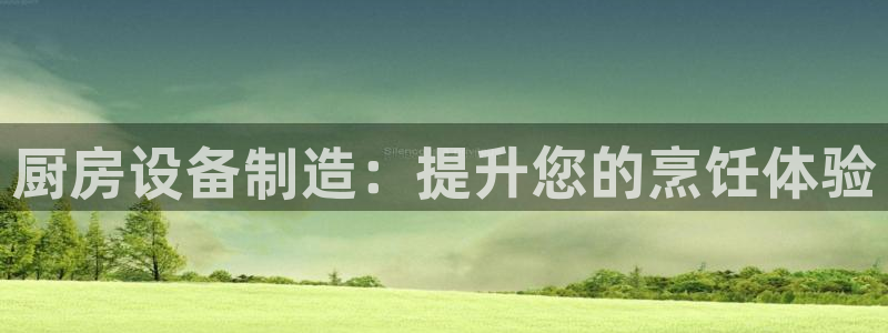 新版彩神v8登录不了：厨房设备制造：提升您的烹饪体验