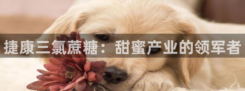 彩神v1官网：捷康三氯蔗糖：甜蜜产业的领军者