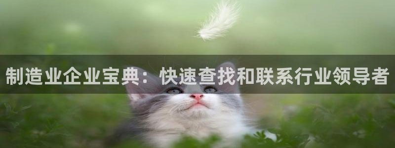彩神是怎样一个平台：制造业企业宝典：快速查找和联系行业领导者
