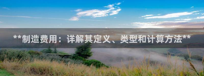 彩神v8是一个什么平台啊：**制造费用：详解其定义、类型和计算方法**