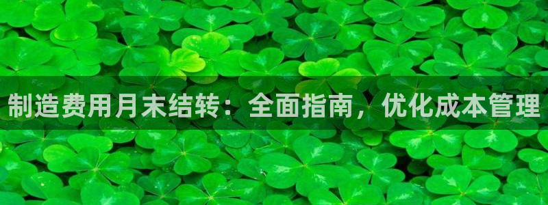 彩神ix能赚钱吗：制造费用月末结转：全面指南，优化成本管理