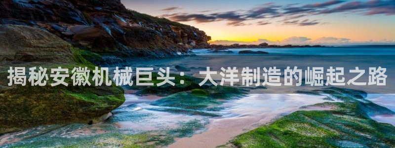 彩神iv真的能赚钱吗：揭秘安徽机械巨头：大洋制造的崛起之路