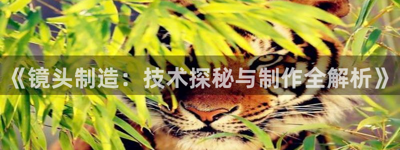 彩神iv能赚钱吗：《镜头制造：技术探秘与制作全解析》