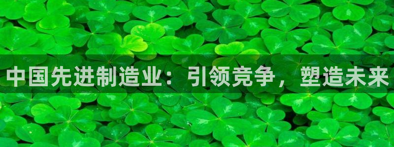 彩神ix官网是哪个公司的：中国先进制造业：引领竞争，塑造未来