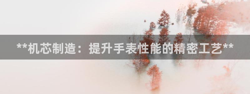 彩神怎么样可以提现：**机芯制造：提升手表性能的精密工艺**