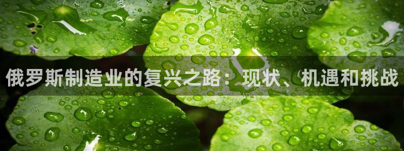 彩神的邀请码是多少：俄罗斯制造业的复兴之路：现状、机遇和挑战