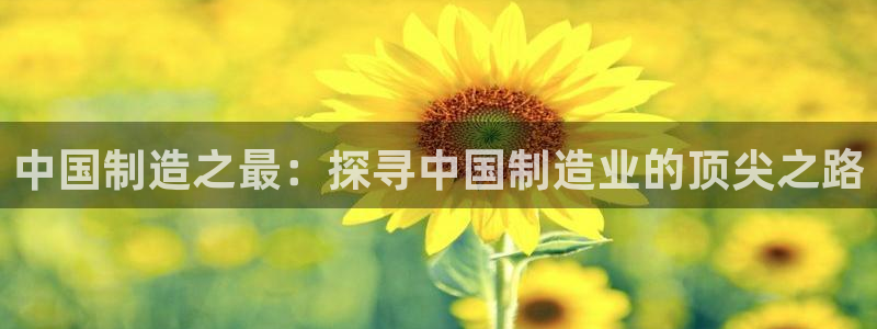 彩神v下载安装