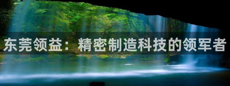 彩神vⅲ下载安装：东莞领益：精密制造科技的领军者