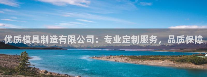 彩神大发如何观察走势：优质模具制造有限公司：专业定制服务，品质保障