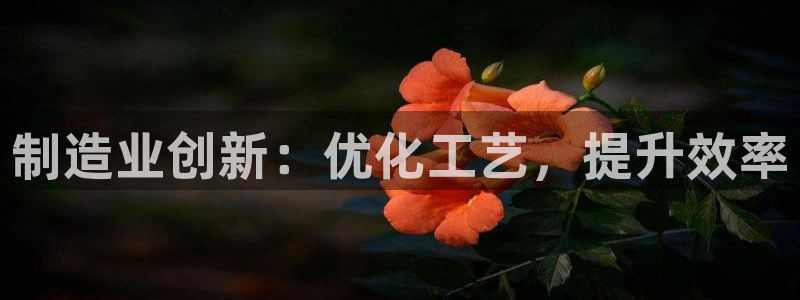 下载彩神争霸谁与我争锋：制造业创新：优化工艺，提升效率