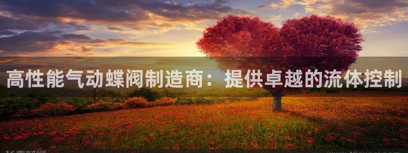 彩神v破解版：高性能气动蝶阀制造商：提供卓越的流体控制