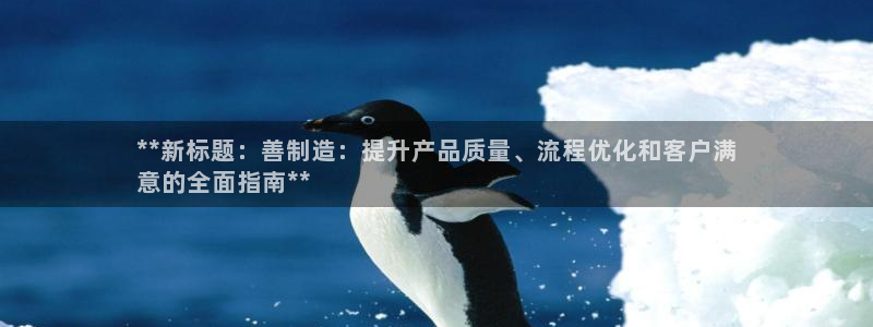 彩神v：**新标题：善制造：提升产品质量、流程优化和客户满
意的全面指南**