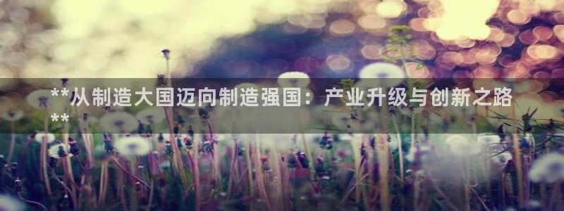 彩神x平台靠什么盈利：**从制造大国迈向制造强国：产业升级与创新之路
**
