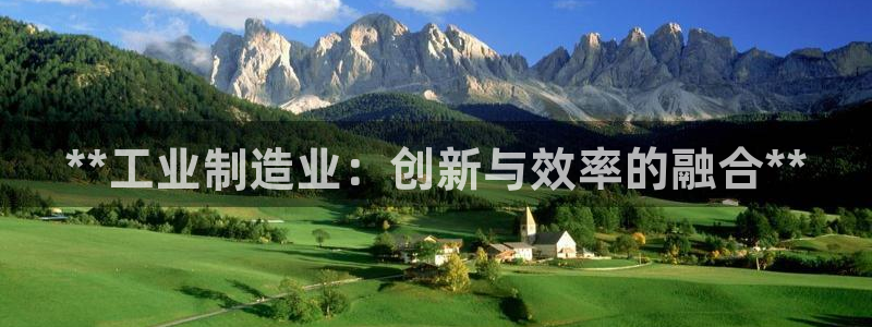 彩神v8购彩大厅登：**工业制造业：创新与效率的融合**