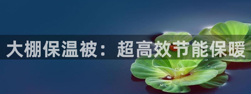 彩神vll官网-最新版app下载：大棚保温被：超高效节能保暖
