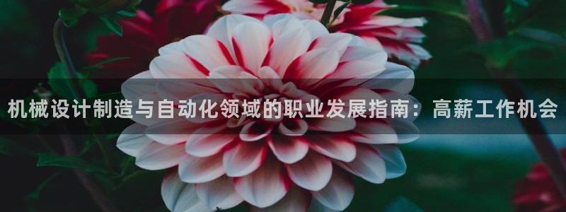 彩神通官网下载：机械设计制造与自动化领域的职业发展指南：高薪工作机会