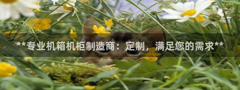 彩神v8是真的挣钱吗安全吗：**专业机箱机柜制造商：定制，满足您的需求**
