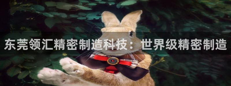 彩神v8平台正规吗：东莞领汇精密制造科技：世界级精密制造