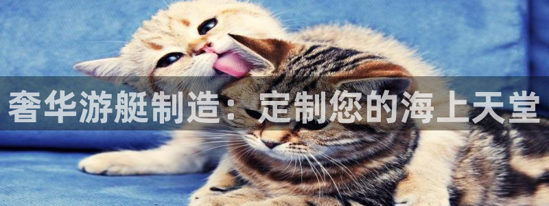 彩神vⅲ下载安装：奢华游艇制造：定制您的海上天堂