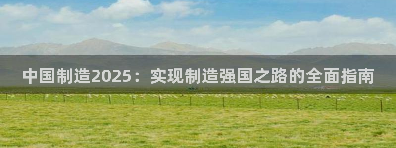彩神x平台靠什么盈利：中国制造2025：实现制造强国之路的全面指南