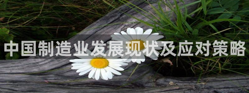 下载彩神通关注金码：中国制造业发展现状及应对策略