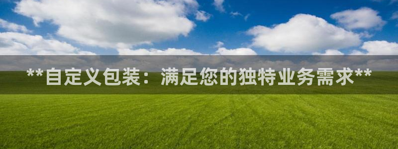 彩神购彩-购彩大厅入口500：**自定义包装：满足您的独特业务需求**