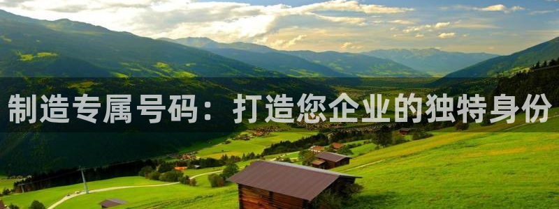 彩神新微聊：制造专属号码：打造您企业的独特身份