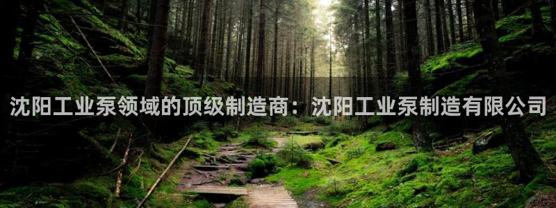 彩神ii官方网：沈阳工业泵领域的顶级制造商：沈阳工业泵制造有限公司