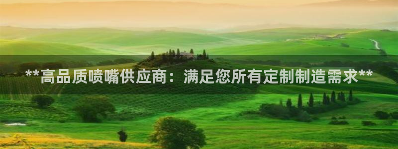 彩神vip购彩大厅在哪：**高品质喷嘴供应商：满足您所有定制制造需求**