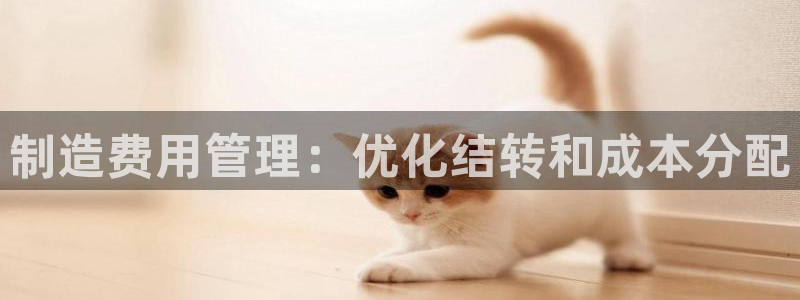 彩神趣购彩用户注册：制造费用管理：优化结转和成本分配
