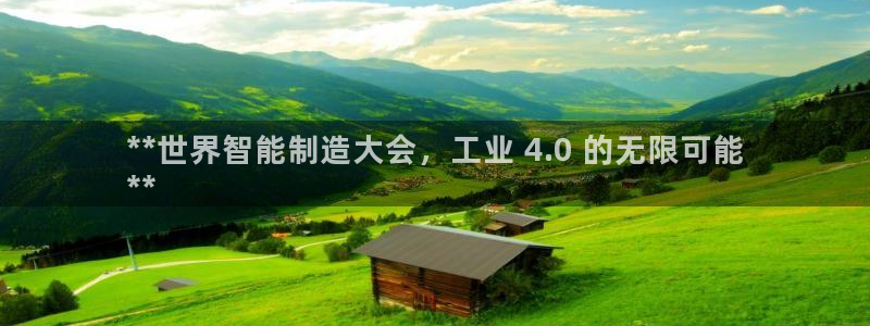 彩神ii官方网：**世界智能制造大会，工业 4.0 的无限可