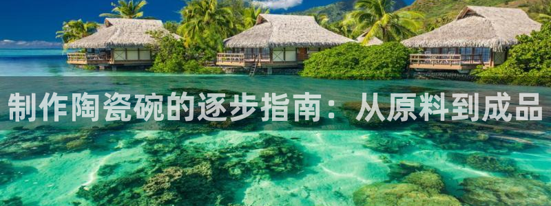 天天彩神welcome：制作陶瓷碗的逐步指南：从原料到成品