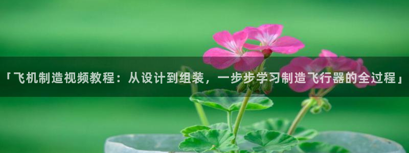 彩神v争霸是啥：「飞机制造视频教程：从设计到组装，一步步学习