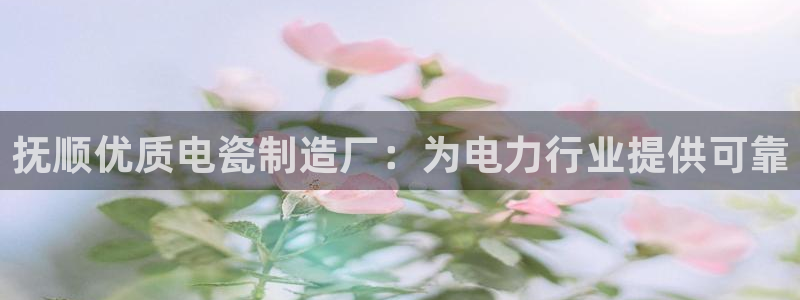 彩神争霸官方登录：抚顺优质电瓷制造厂：为电力行业提供可靠