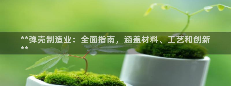 彩神争霸老平台：**弹壳制造业：全面指南，涵盖材料、工艺和创新
**