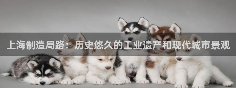 彩神v彩搜狗：上海制造局路：历史悠久的工业遗产和现代城市景观