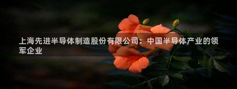 彩神v天天：上海先进半导体制造股份有限公司：中国半导体产业的